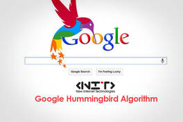 Google Hummingbird Algorithm