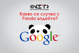 Какво се случва с Panda ъпдейта?